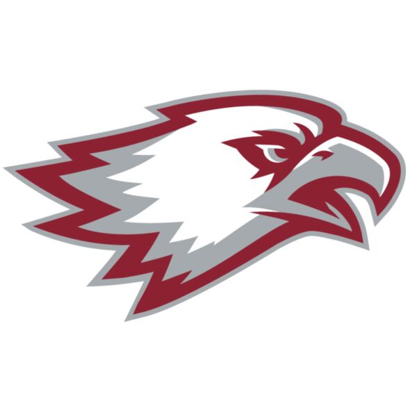 Soaring Eagle Thumbnail